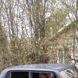 �������, 46 ���, �����