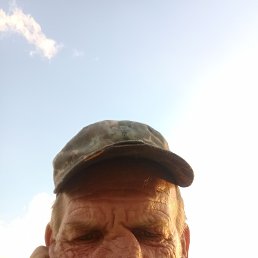 , 53 , 