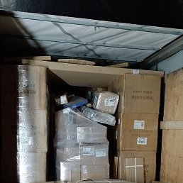 �����, ������������, 44 ����