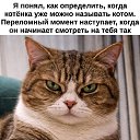 ���� ����, ��������� - ��������� 16 ������ 2026 � ������ ������ ��������
