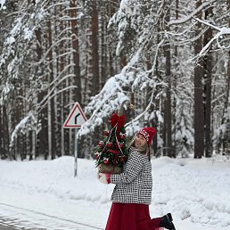 �����, ���������, 44 ����