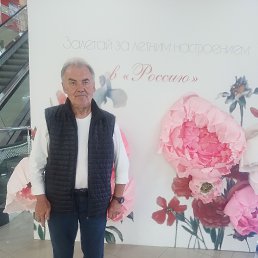 , 66, 