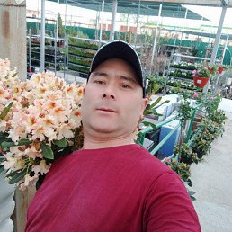 , 45, -