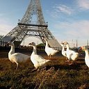 ���� ������ �����, ������ - ��������� 3 ������� 2025 � ������ ������ ��������