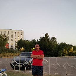 , 53,  