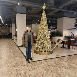 ��������, �������, 65 ���