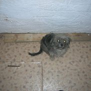 , 18 , 