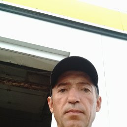 , 46, 