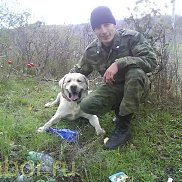 ���������, 40 ���, ������