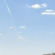 ������, 33 ����, ���������