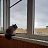 ���� ������, ������, 46 ��� - ��������� 27 ������� 2023