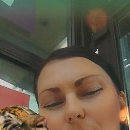 , 42, 