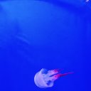 ���� �������, �������������-����������� , 28 ��� - ��������� 3 ������� 2025