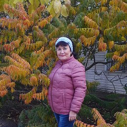 , 63, 