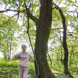 �����, ��������, 42 ����