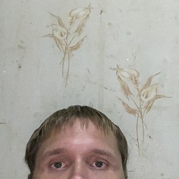 , 31, 