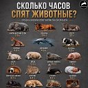 ���� ����, ��������� - ��������� 7 ������� 2026 � ������ ������ ��������