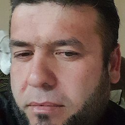 ����� �������, ���������, 37 ���