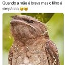 ���� ������, ���������, 55 ��� - ��������� 7 ������� 2024 � ������ ���� ����������