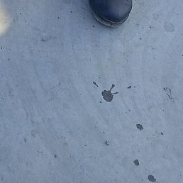 ���������, �����, 47 ���