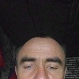 �������, 51 ���, �������