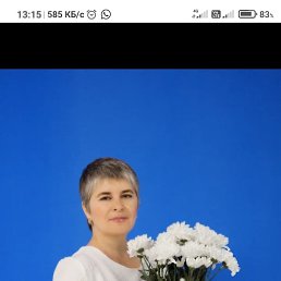 ���� �����, �����������, 51 ��� - ��������� 23 ��� 2026