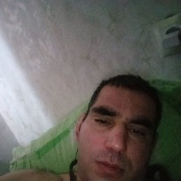 �������, 42 ����, ������