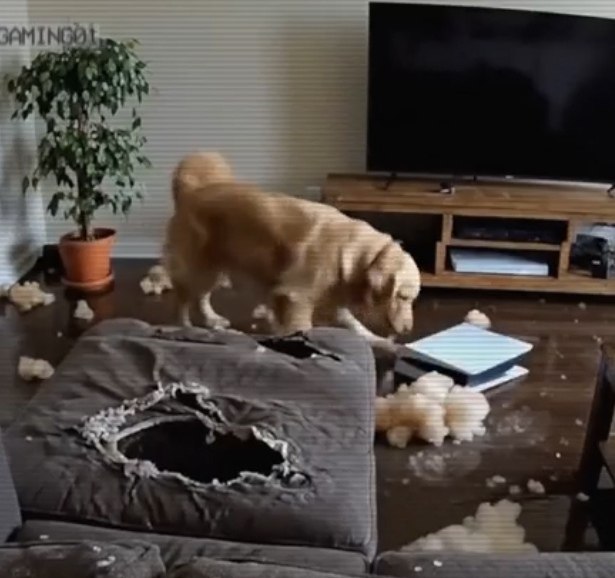 ����� �� �� ������� ������� - 2