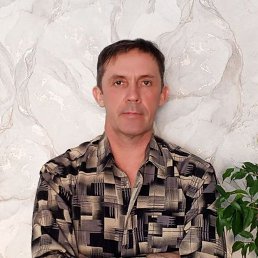 , 51 , 