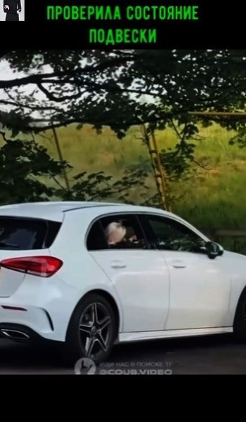 epec coco poep oec - 2