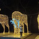  , --, 68  -  27  2025    