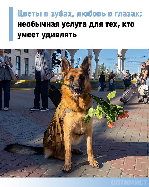 ����� ����� ��� �� ��������: ���������� �������. � ���� ����� ������, ������� ������ ���, ����� � ...