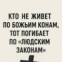 ���� �������, ��������, 41 ��� - ��������� 4 ������ 2025 � ������ ������ ��������
