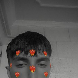 Mirza, 17, 