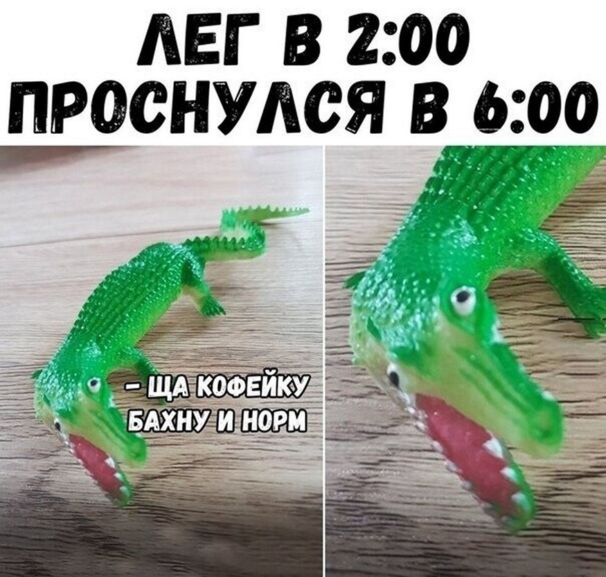 ? ,  ! - 20  2025  20:41