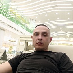 , 29, 