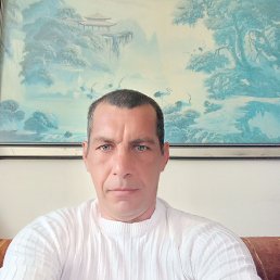 ������, 41 ���, ���������