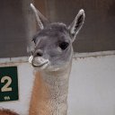 ���� ������, ������������, 55 ��� - ��������� 10 ������ 2026 � ������ ������ ��������