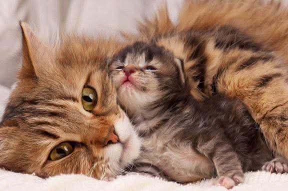 :)  .            . ...