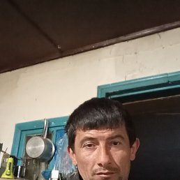 , 44, 