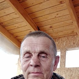 , 65, 