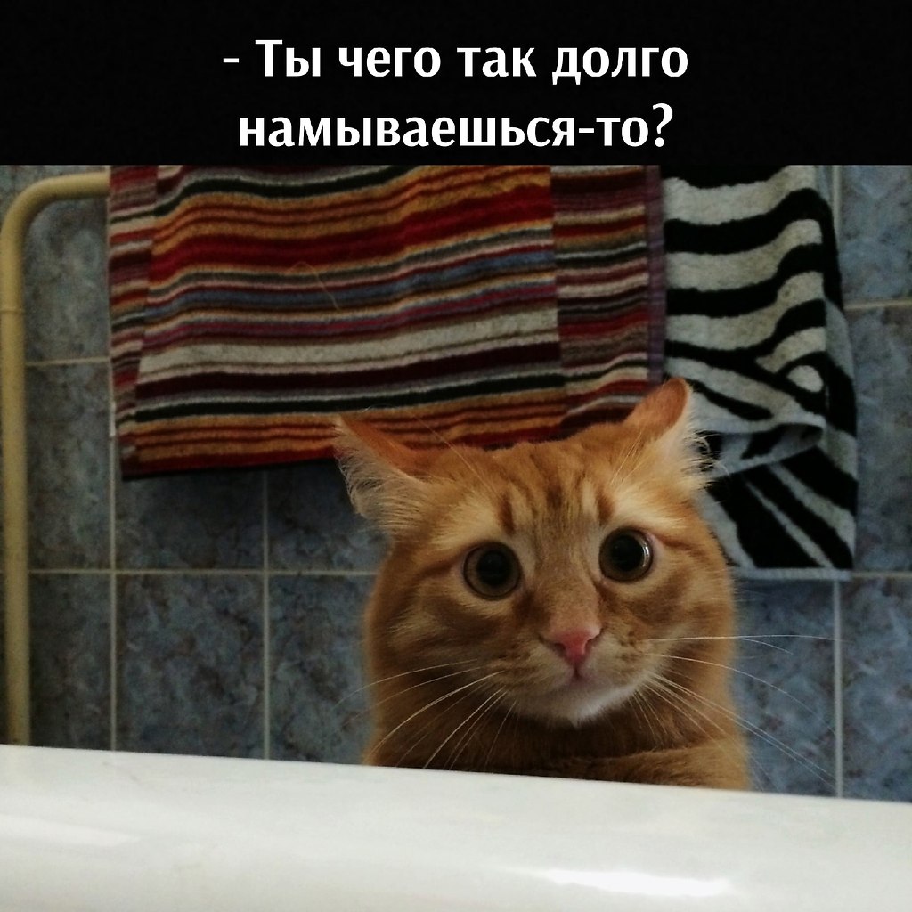       - 24  2025  23:12 - 2
