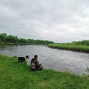 ���� ����, �������, 44 ���� - ��������� 31 ����� 2026 � ������ ���� ����������