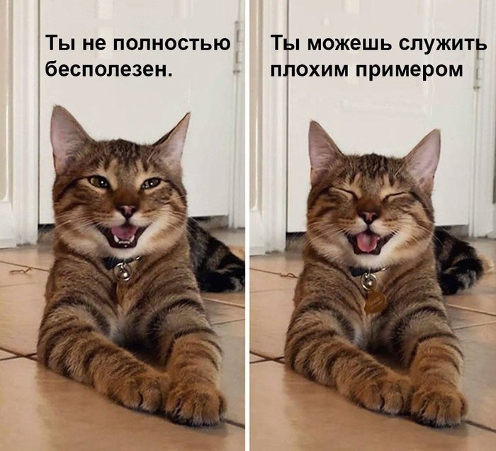 ����������� ����� �������: � ��� � ���������� ���� ����������� �������. �� �������� ��� ��������� ...