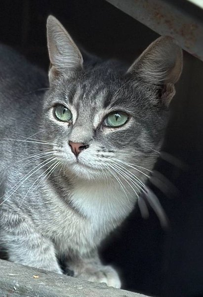 .  ,  ,  ,     .     ... - 3