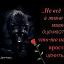 ���� ������, ������, 39 ��� - ��������� 24 ���� 2026 � ������ ���� ����������