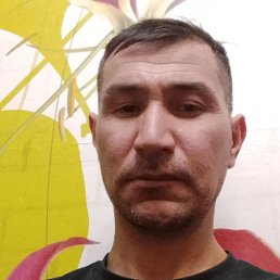 , 41, 