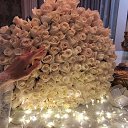 ���� Olga, ��������, 26 ��� - ��������� 12 ��� 2026 � ������ ���� ����������