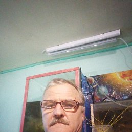 , 57, 