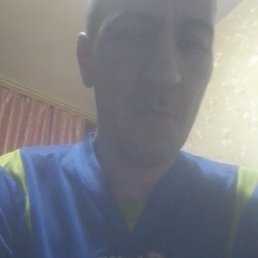 ���� �������, �����������, 49 ��� - ��������� 29 ������ 2024